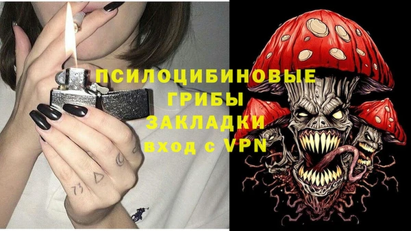 ГАЛЛЮЦИНОГЕННЫЕ ГРИБЫ Покачи