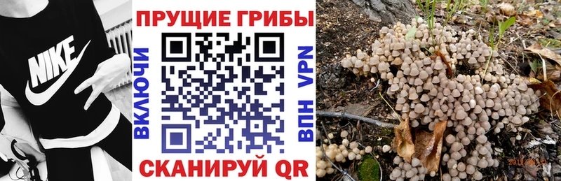 Галлюциногенные грибы ЛСД  дарк нет состав  Черепаново  купить  